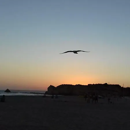 아파트 Beautiful Clube Praia Da Rocha *